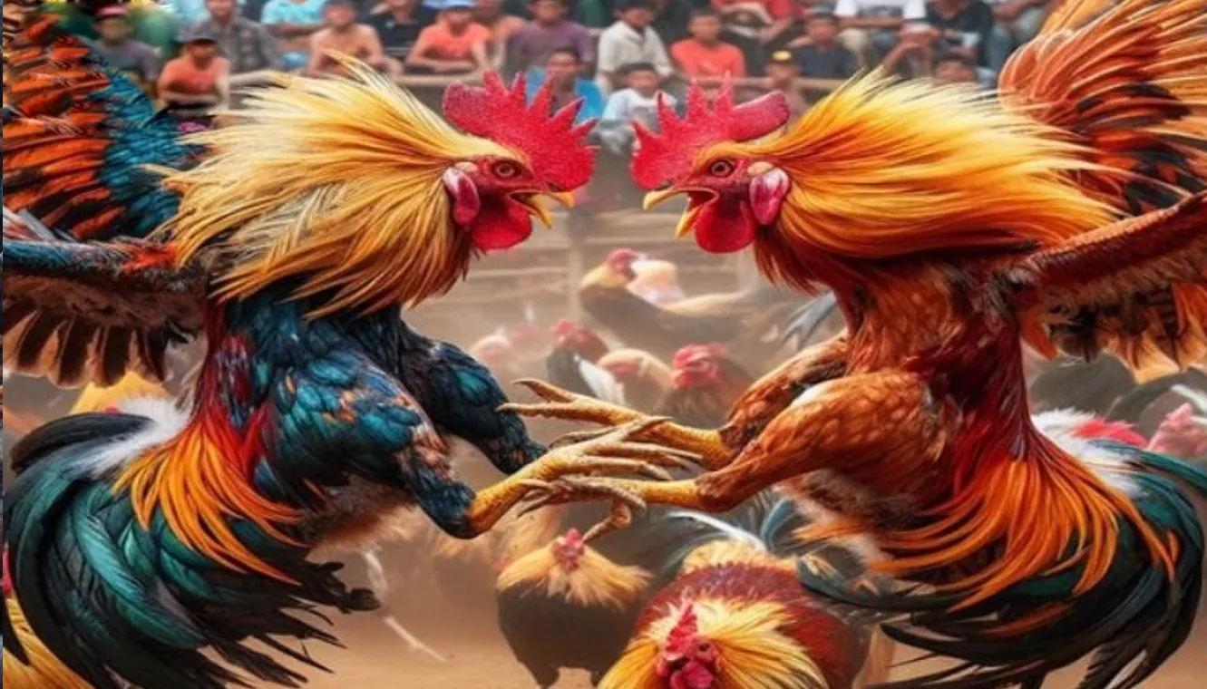 Illustration of 774pub registration and login steps